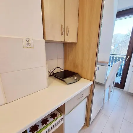 Pod Szymoszkowa Centrum ,400m Do Wyciagu Narciarskiego Zakopane